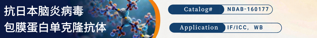 抗日本脑炎病毒包膜蛋白抗体