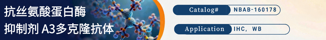 抗丝氨酸蛋白酶抑制剂 A3抗体
