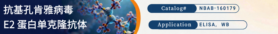 抗基孔肯雅病毒 E2 蛋白抗体