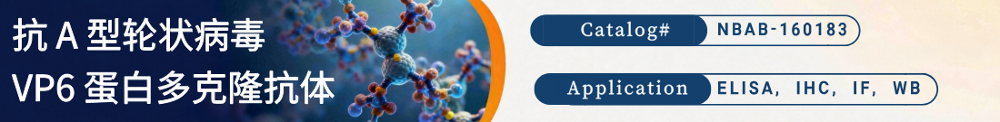抗 A 型轮状病毒 VP6 蛋白抗体