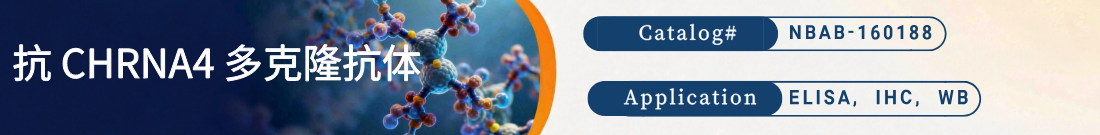 抗CHRNA6抗体