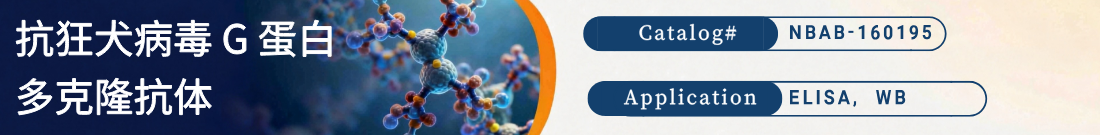 抗Rabies virus Glycoprotein抗体