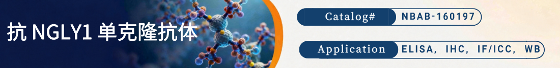 抗NGLY1抗体
