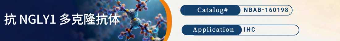 抗NGLY1抗体