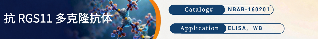 抗RGS11抗体