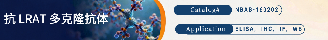 抗LRAT抗体