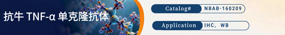 抗牛TNF-抗体 抗牛TNF-抗体