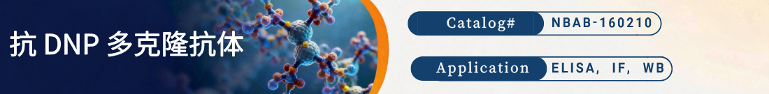 抗DNP抗体 抗DNP抗体