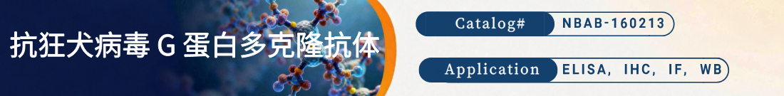 抗狂犬病毒 G 蛋白抗体 抗狂犬病毒 G 蛋白抗体
