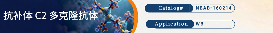 抗补体C2抗体 抗补体C2抗体