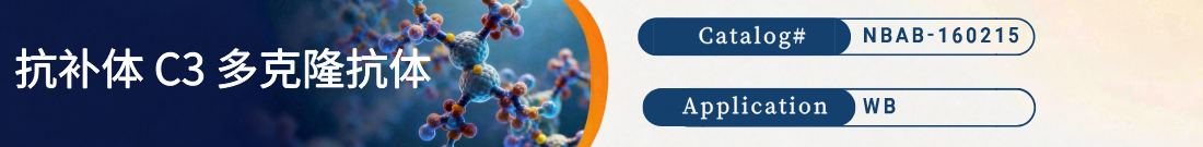 抗补体C3抗体 抗补体C3抗体