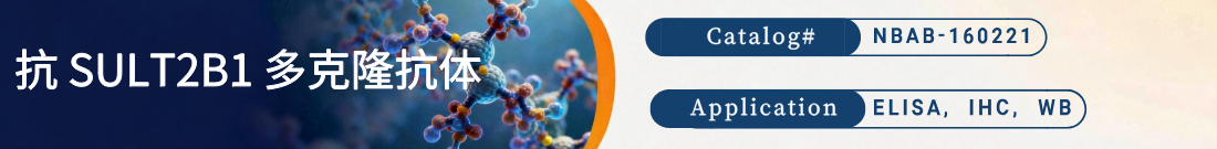 抗SULT2B1抗体 抗SULT2B1抗体