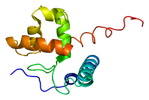 Protein_ARID1A_PDB_1ryu.png