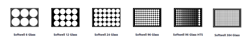 Matrigen Softwell? G（Glass Bottom）玻璃底細(xì)胞培養(yǎng)板