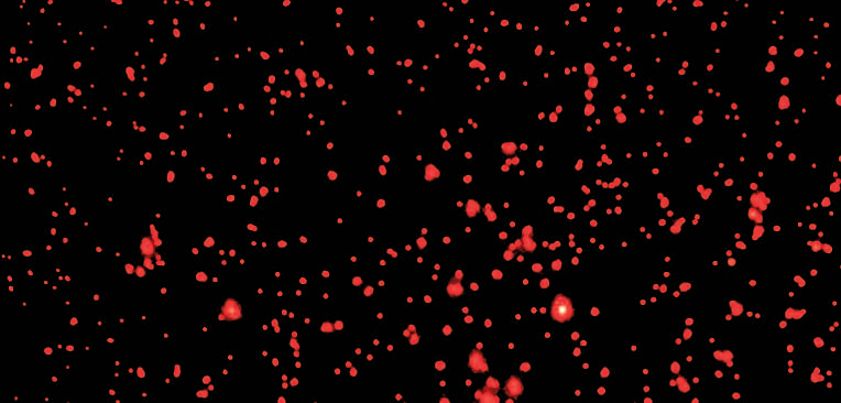 834bd90c-4fde-485f-af96-7a33672471e5.png