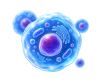 ChatGPT Image 2026年8月14日 15_13_36(1).png
