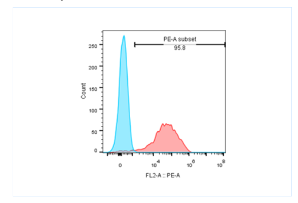 afdbdc60-9d80-4921-a927-20aa54de500b.png