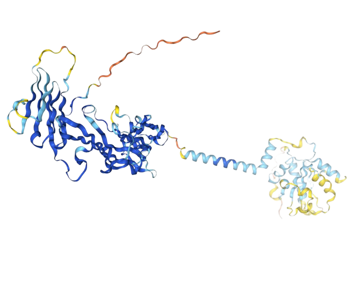 NBST-242006 IL-18R.png