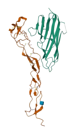 b4ec3388-bddf-4014-8acd-6a0b8f496909.png