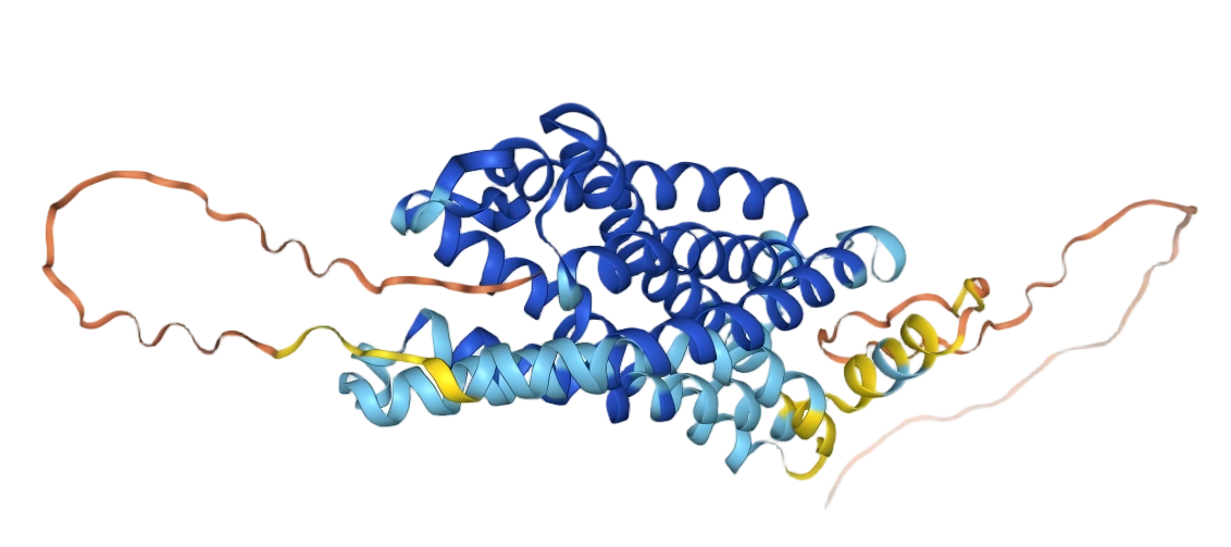 CCR2