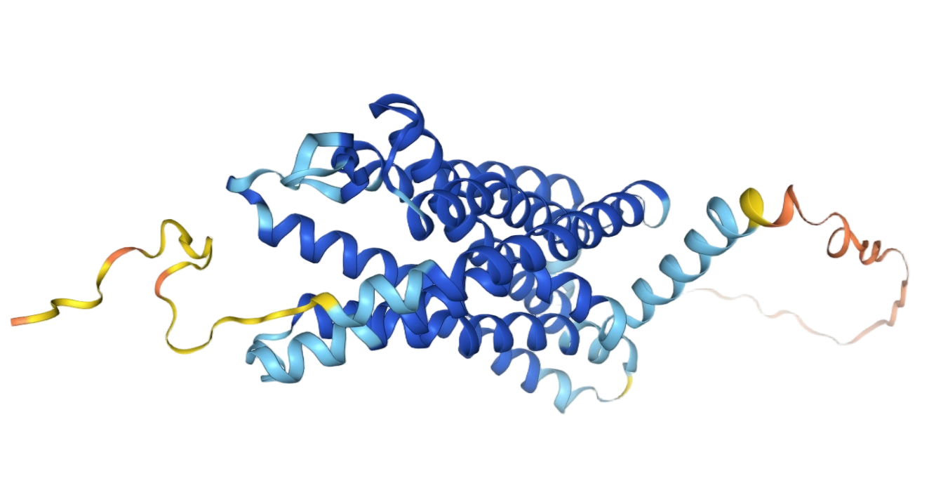 CCR5