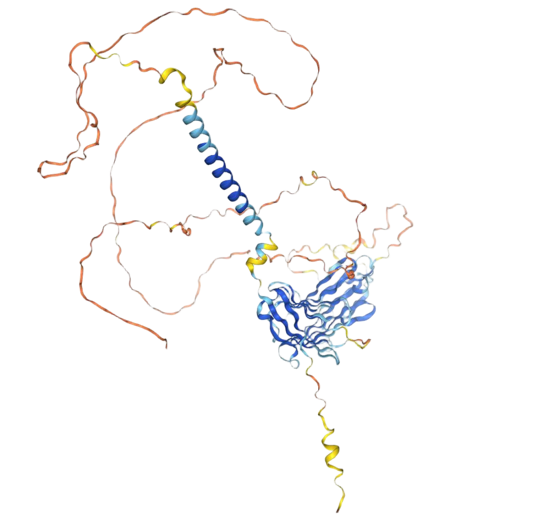 CD19