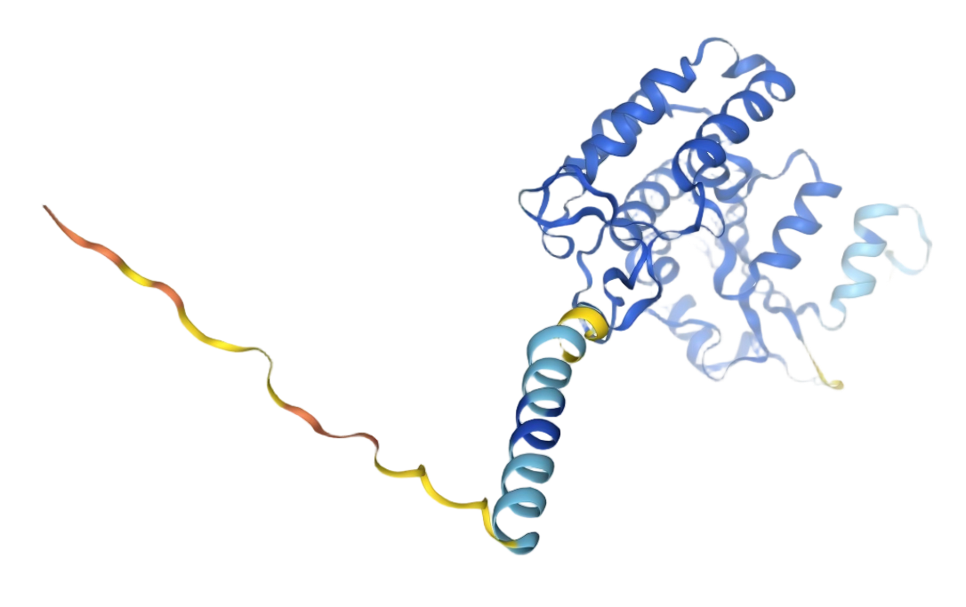 CD38