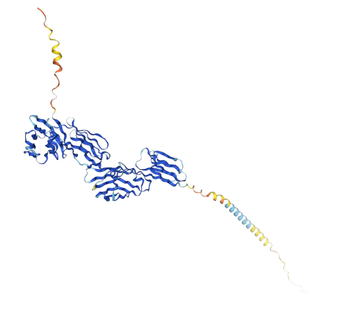NBST-242417 CD4.png