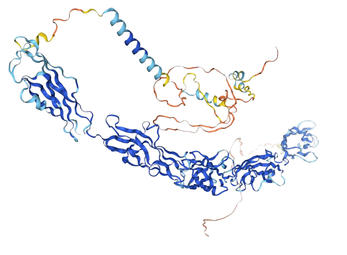 CDH6