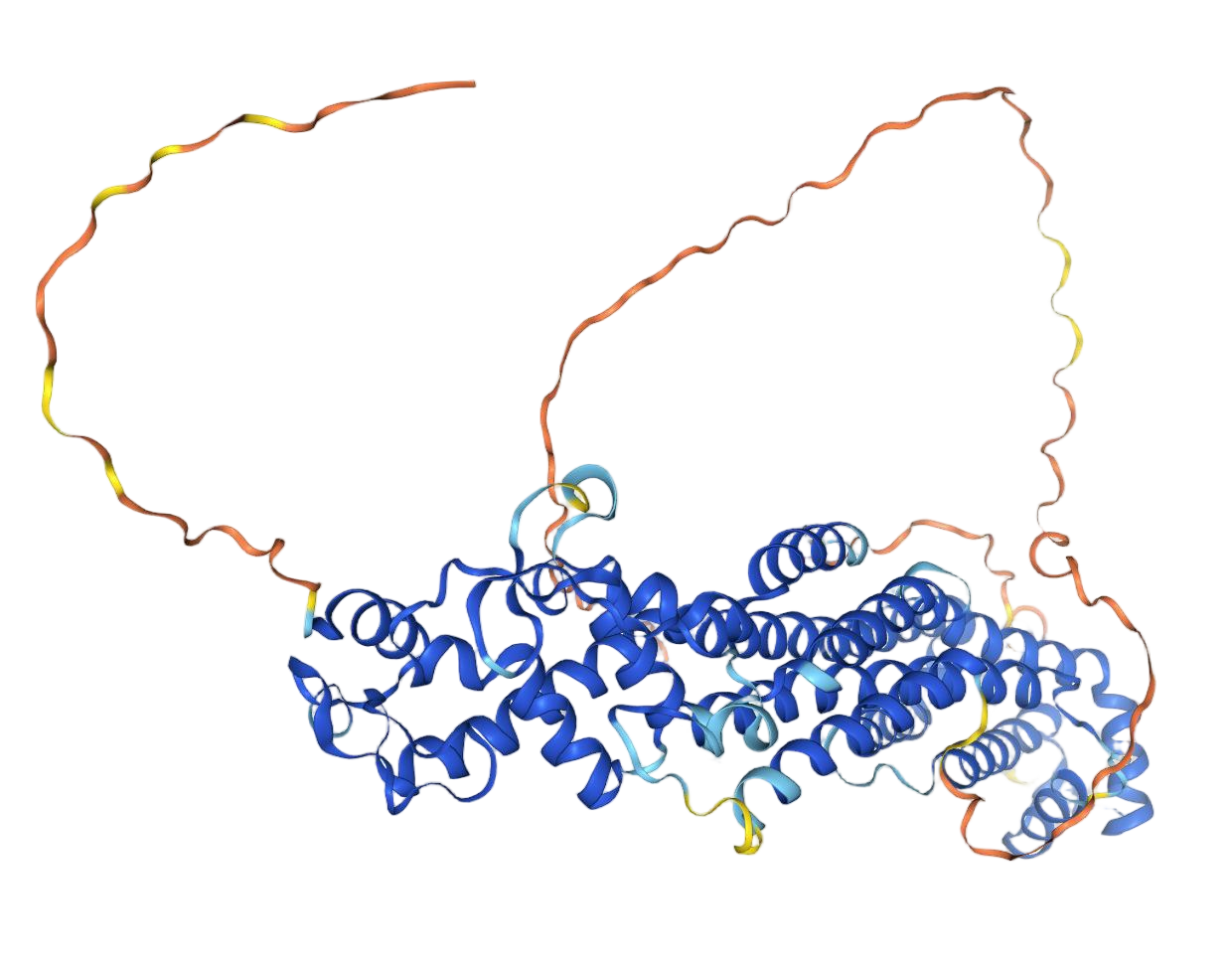 GPC2
