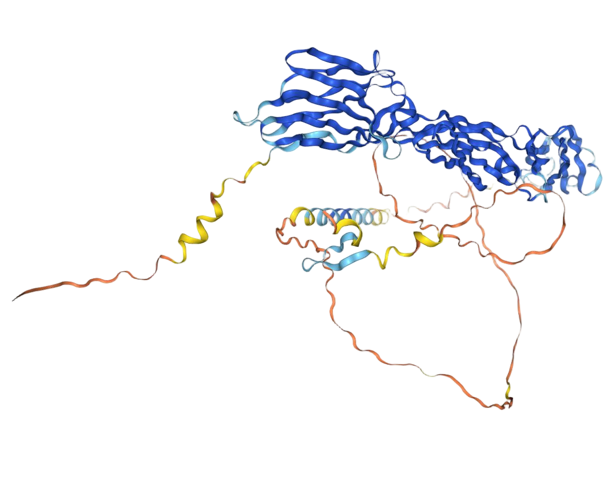 NECTIN1