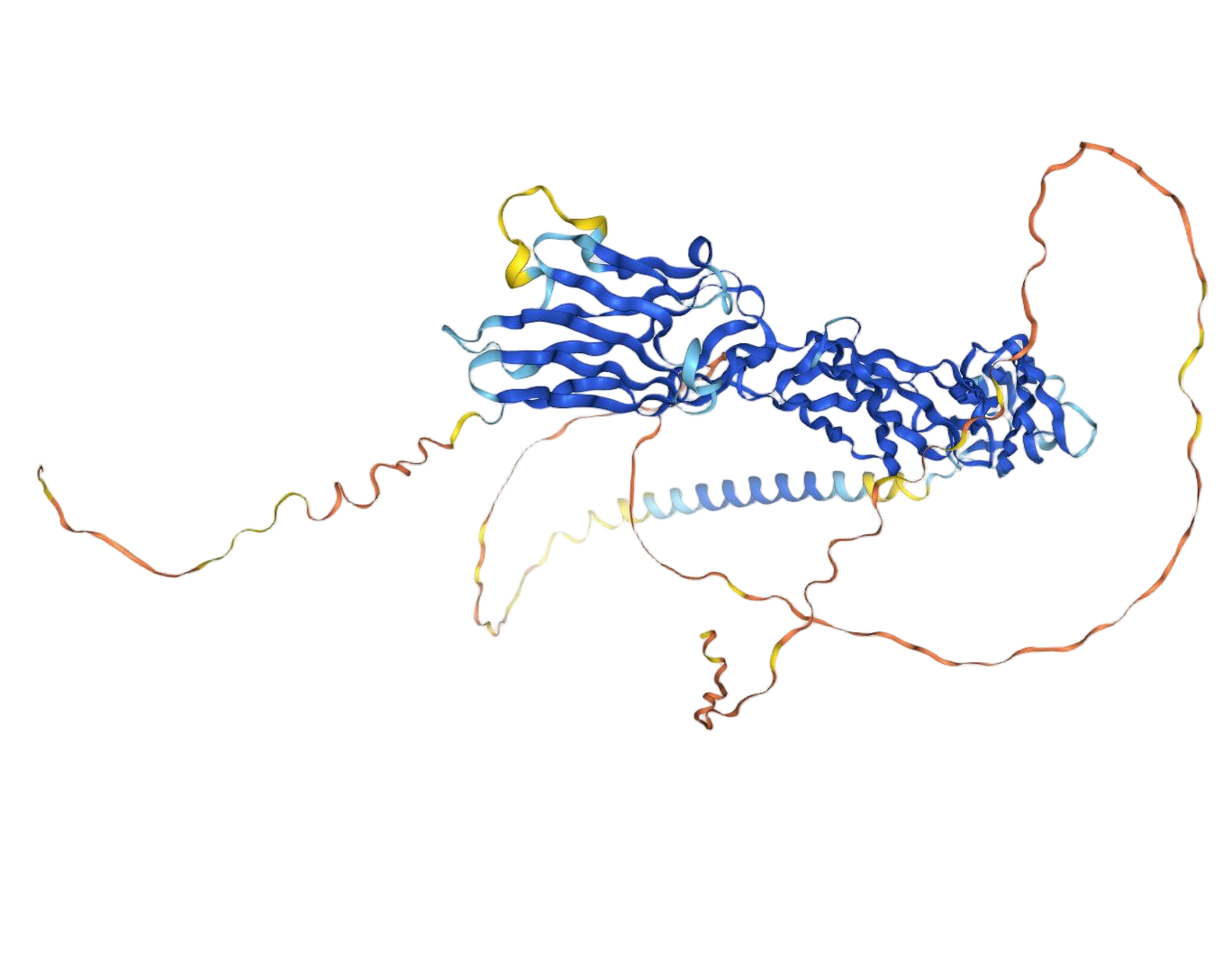 NECTIN2 NECTIN2