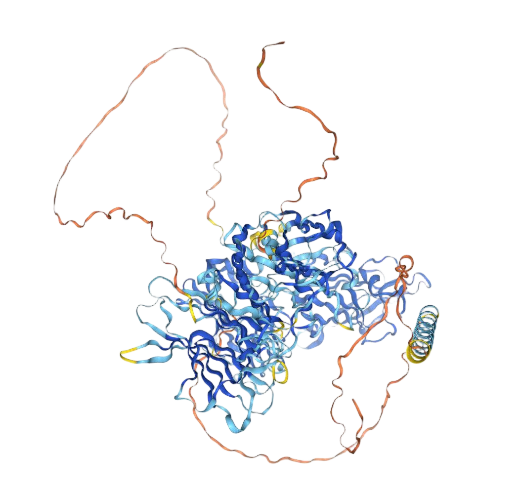 NRP1 