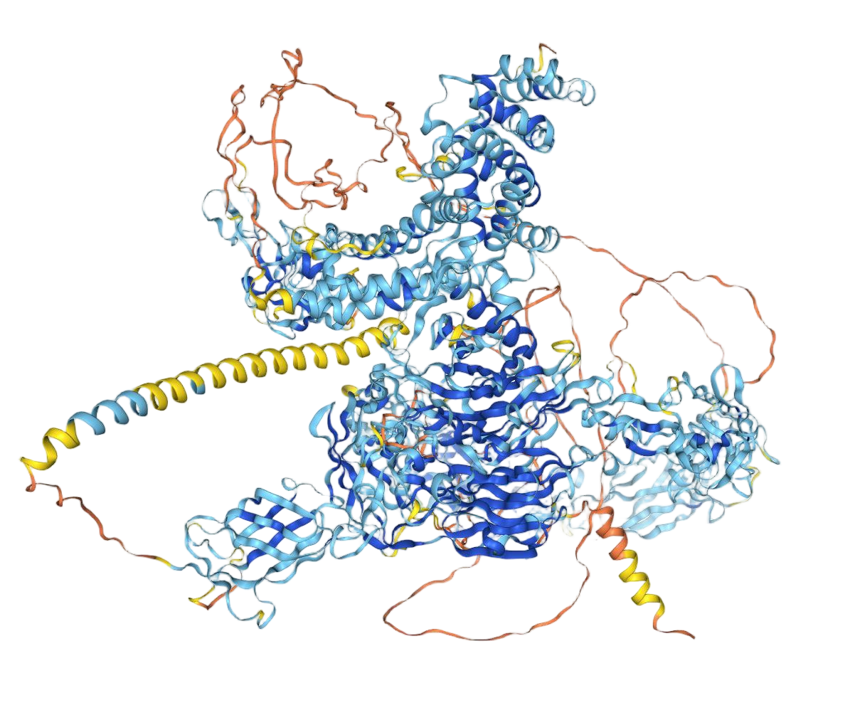 Plexin B1