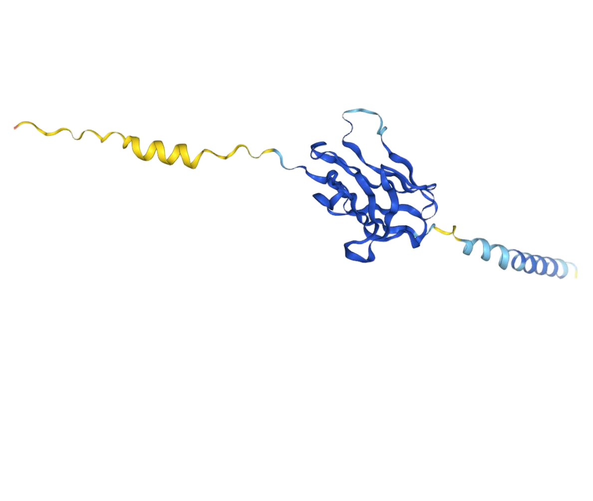 SIRPB1