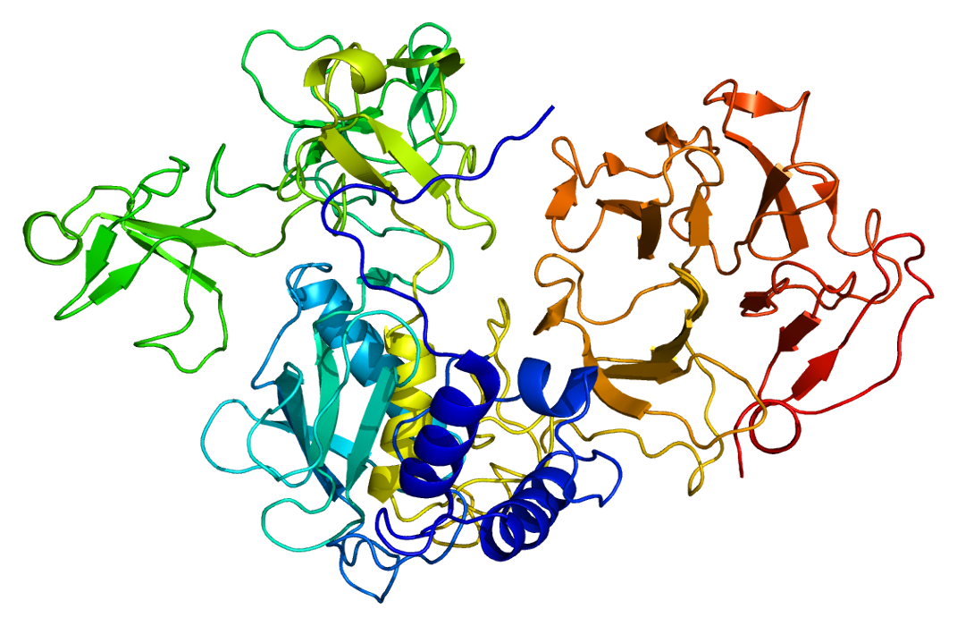 MMP-2
