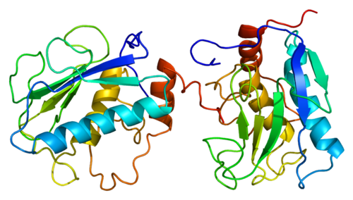 MMP-3