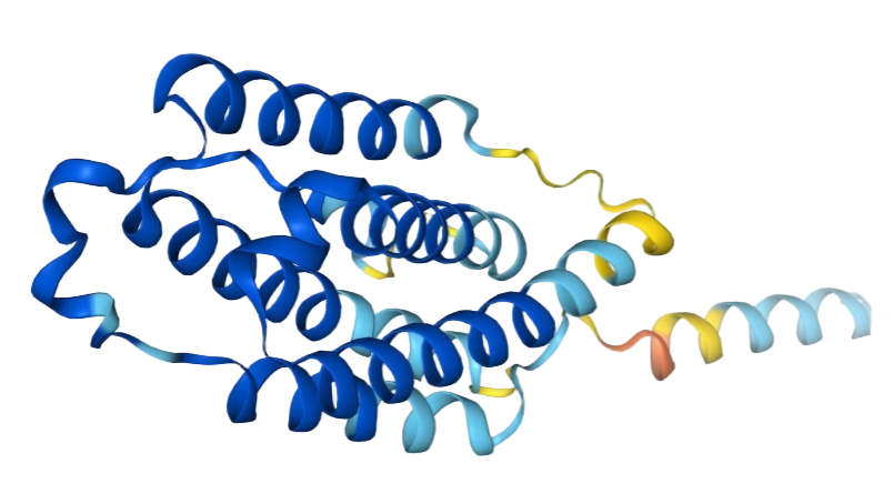IFN alpha A