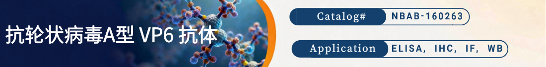 抗Rotavirus A VP6多克隆抗体 抗Rotavirus A VP6多克隆抗体